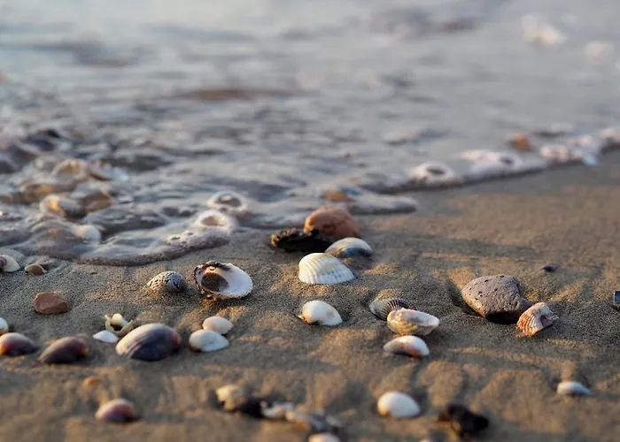 Comfy Flat In With Wifi Beahost Appartement Bibione